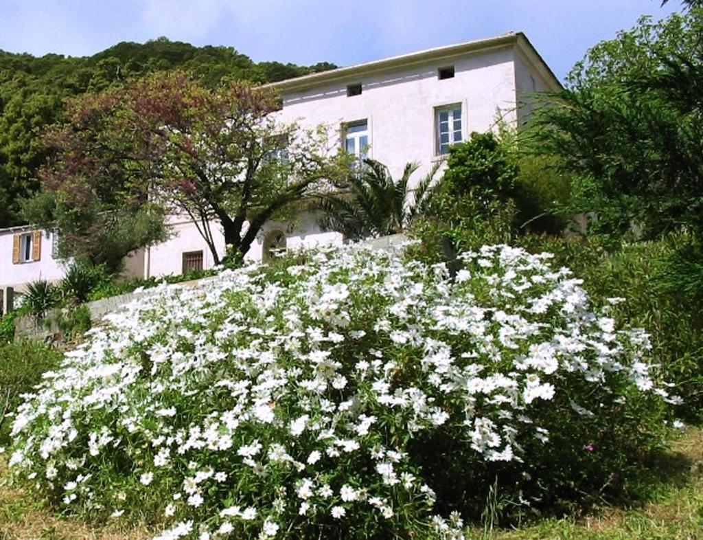 Casa A Rota Chambres D'Hotes Ersa Dış mekan fotoğraf